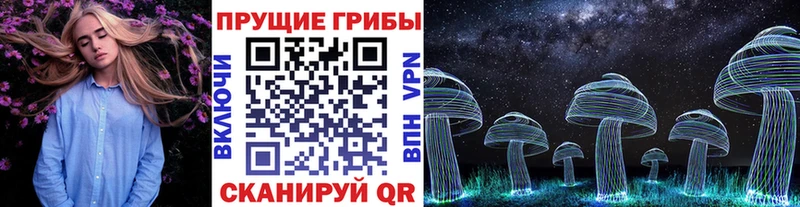 Псилоцибиновые грибы мицелий  где купить   Медногорск 