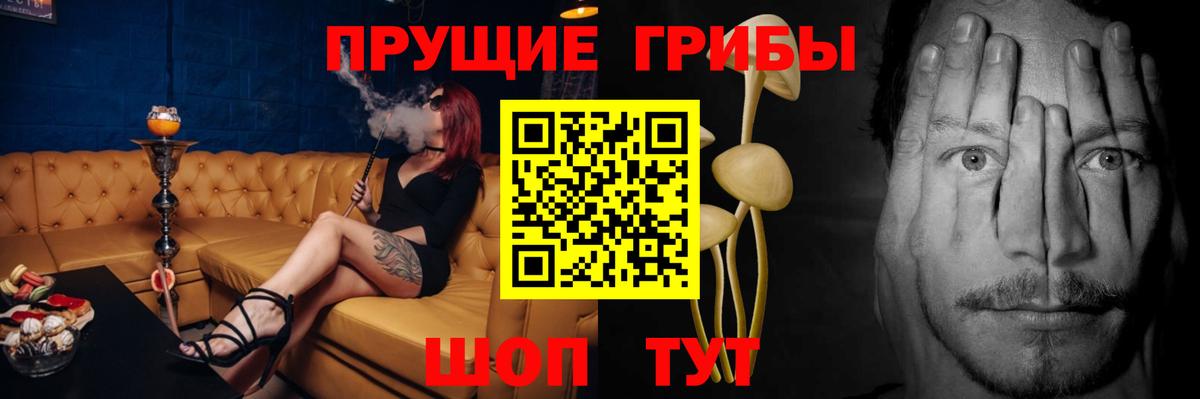 Псилоцибиновые грибы Cubensis Медногорск
