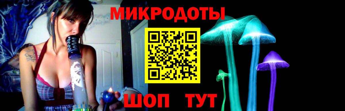 где найти   Вход с VPN  Медногорск  Галлюциногенные грибы Psilocybine cubensis 